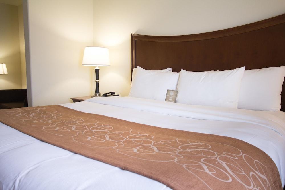 Comfort Suites San Antonio North - Stone Oak Luaran gambar