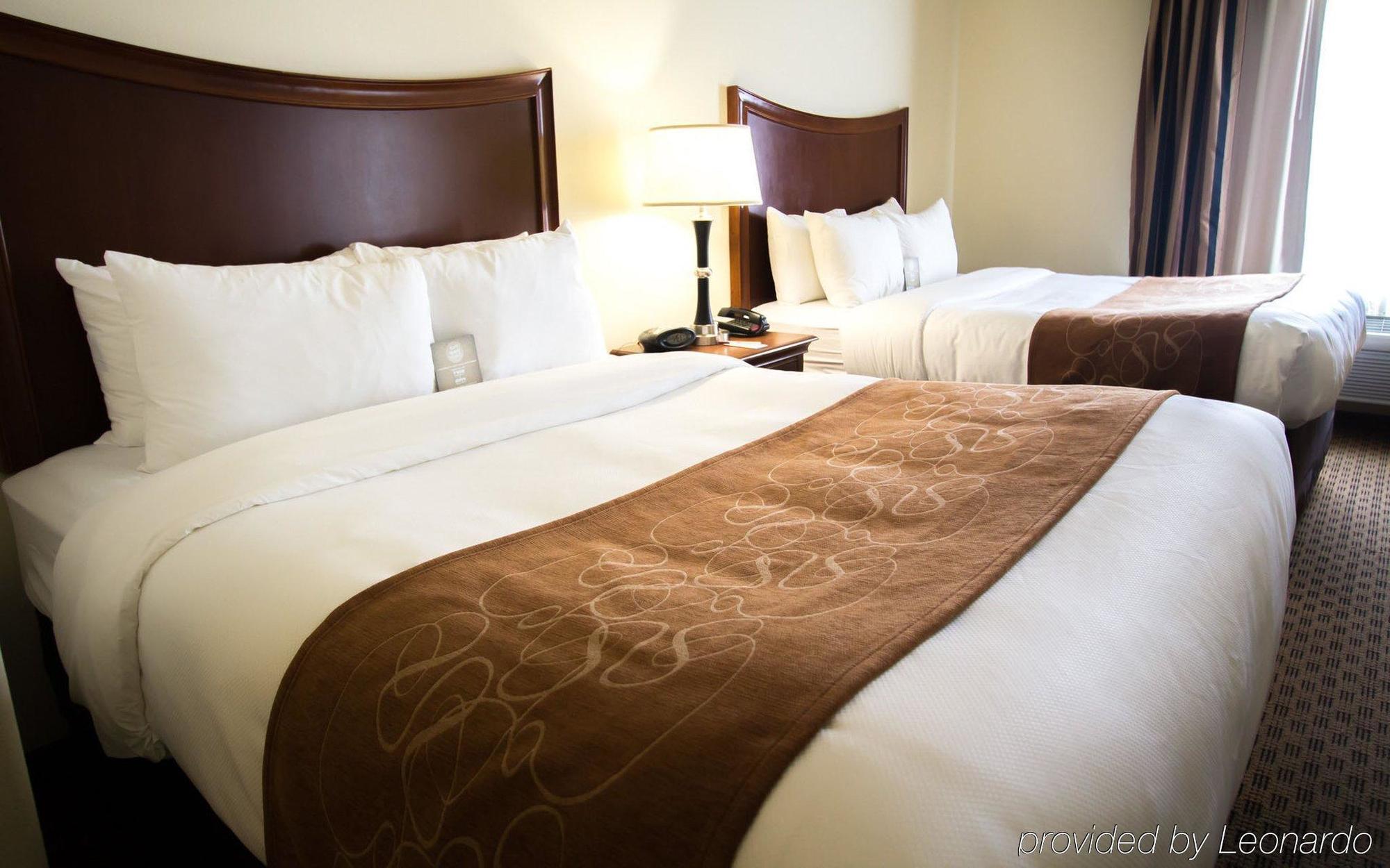 Comfort Suites San Antonio North - Stone Oak Luaran gambar